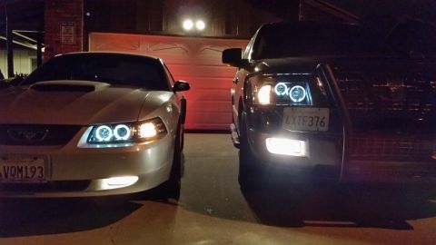 2003 Ford Crown Victoria - silver Ford Mustang and a dark SUV are shown front-on at night with illuminated halo headlight rings and fog lights.