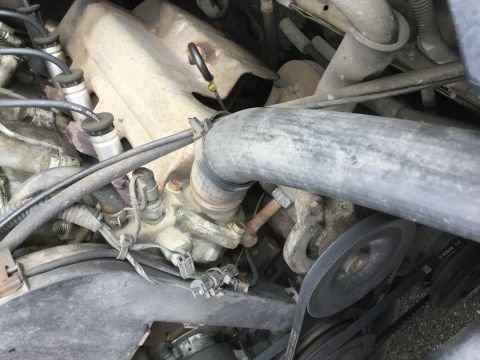 1995 Holden Astra - Close-up view of engine components, including hoses, belts, and spark plug wires.
