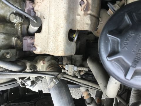 1995 Holden Astra - Engine bay detail showing various parts and a power steering fluid cap.