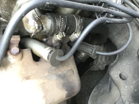 1995 Holden Astra - Engine bay detail showing hoses and electrical connections.