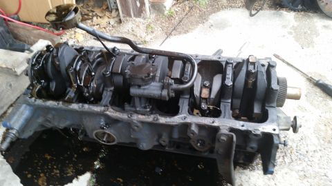 1981 Ford Bronco - Disassembled engine block with crankshaft and connecting rods visible, sitting in oil.