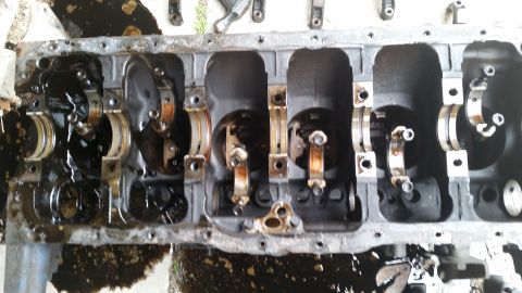 1981 Ford Bronco - This is a view of an engine block, showing the crankshaft and connecting rod bearings.