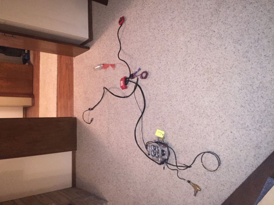 Wiring harness and light assembly with yellow tag