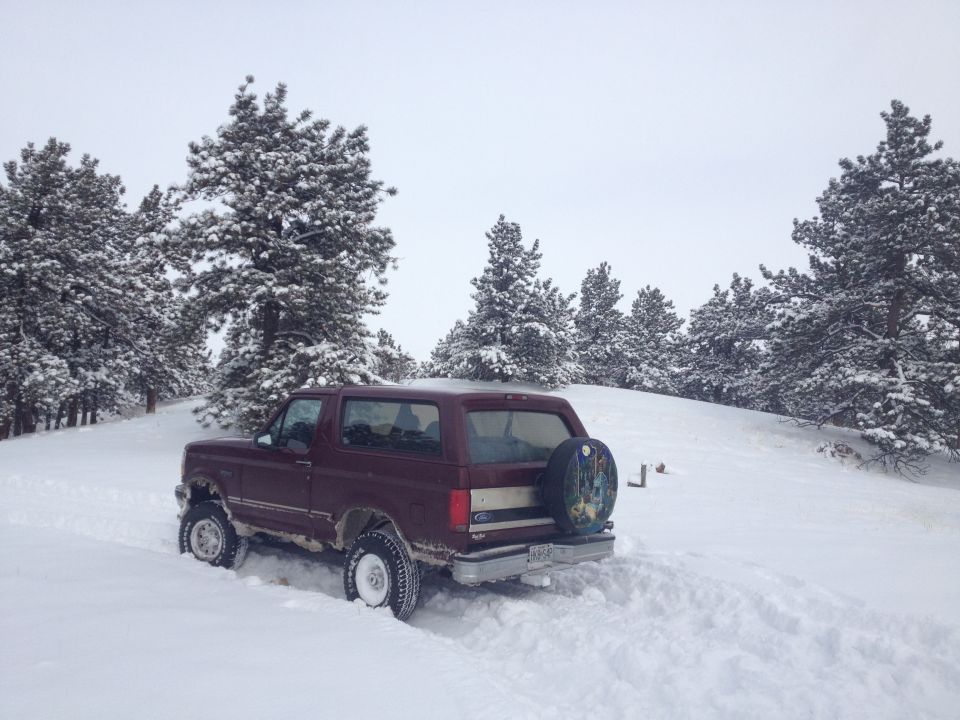 1996 Ford Bronco “MoMare”