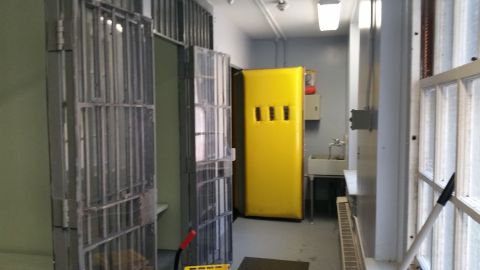 1991 Ford LTD Crown Victoria - Photo of a jail block corridor with barred cell doors, a yellow cabinet and a utility sink.