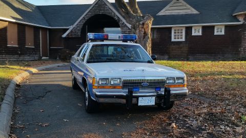 1991 Ford LTD Crown Victoria - Police car parked in front of an old building. The license plate reads 'METRO POLICE 291'.