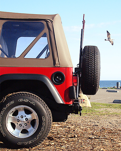 1990 Ford Bronco - A red Jeep Wrangler is parked near the ocean, with a seagull flying overhead.