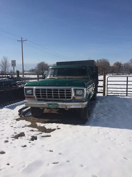 1981 Ford Bronco - A green Ford pickup truck with a flatbed is parked in a snowy area next to a metal gate. The truck has a license plate that reads "1WH2555".