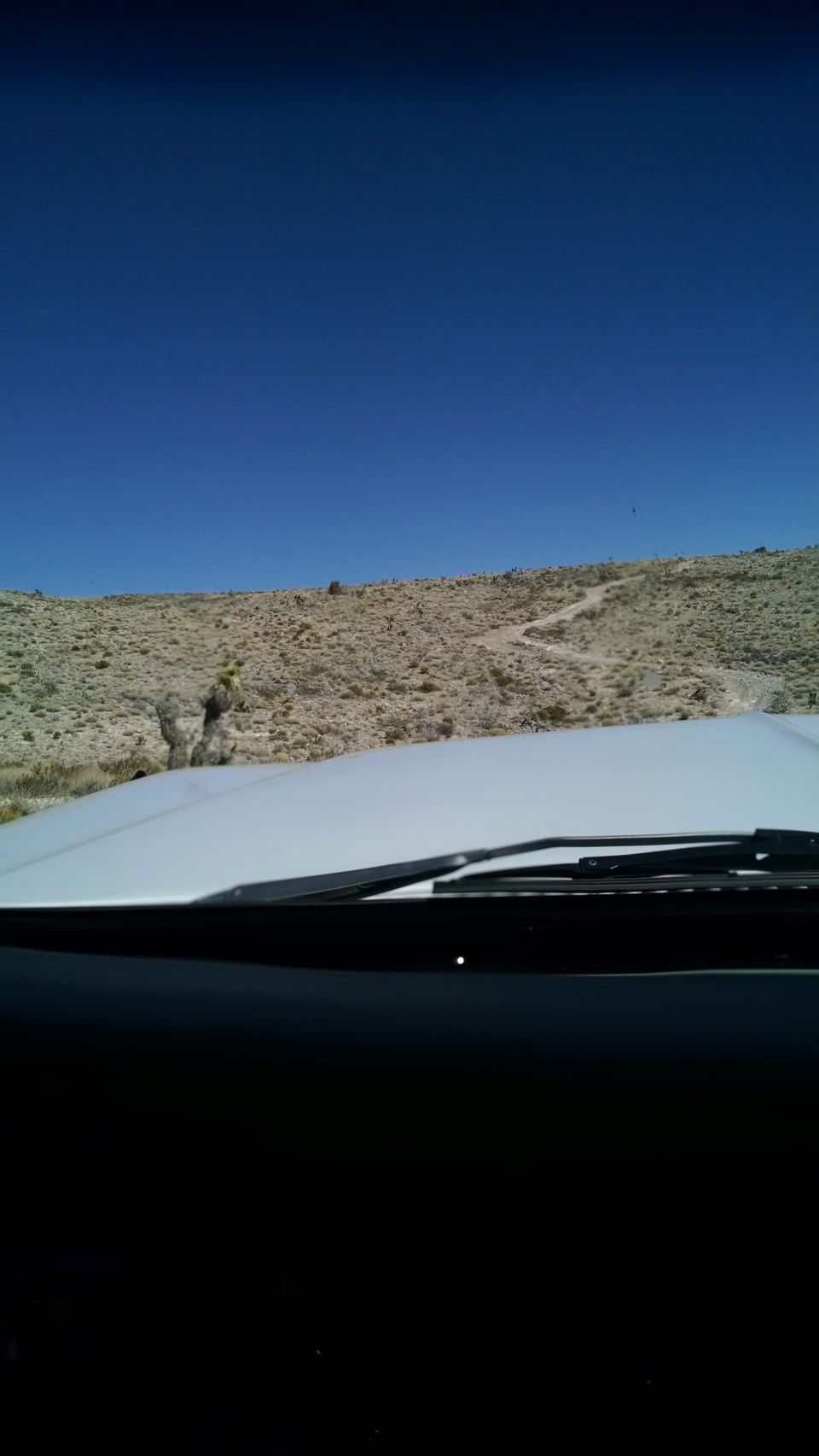 White vehicle hood and windshield wipers with a desert landscape behind.