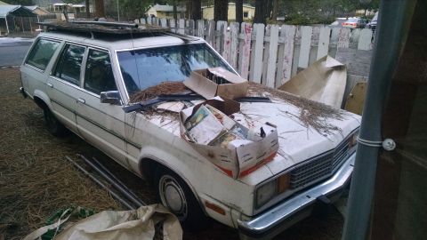 1980 Ford Fairmont
