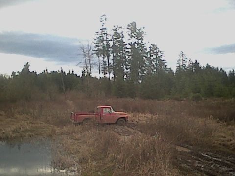 1978 Ford Bronco - my friend got a turdwhirler caught crossways