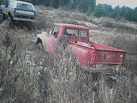 1978 Ford Bronco - a 2-1/2 ton enamia got the thing out with ease