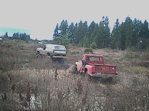 1978 Ford Bronco - Two trucks, a red pickup and a white SUV, navigate a muddy, grassy field under an overcast sky.