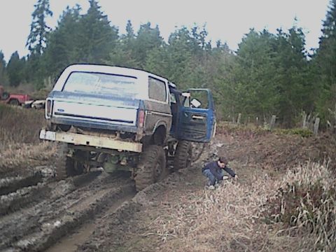 1978 Ford Bronco - my 7 year old nephew sez its time to let me out....