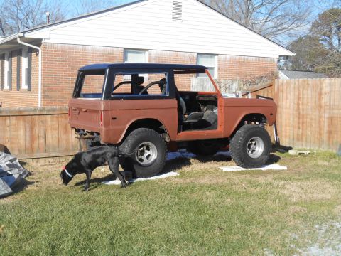 1972 Ford Bronco - A brown 1972 Ford Bronco with a black roof and interior is parked in a grassy yard next to a wooden fence. A black dog with a red collar is…