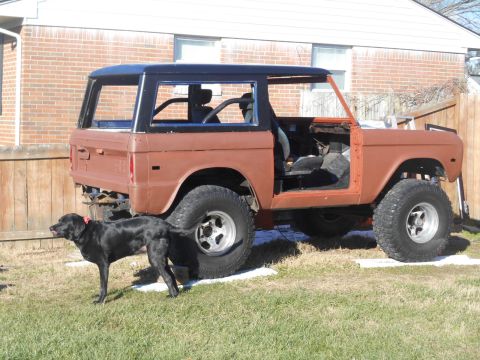 1972 Ford Bronco - A brown 1972 Ford Bronco with a black top is parked in a grassy yard next to a wooden fence and a brick house. A black dog stands in front…