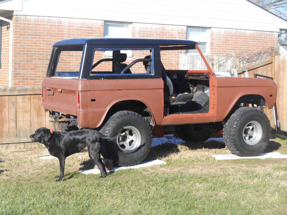 Brown 1972 Ford Bronco with black top and a black dog in front, parked in a yard.