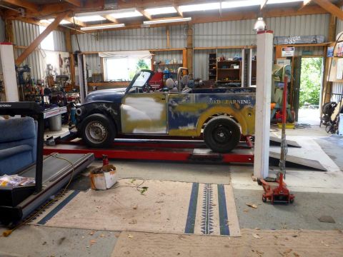 1969 MINI Cooper
