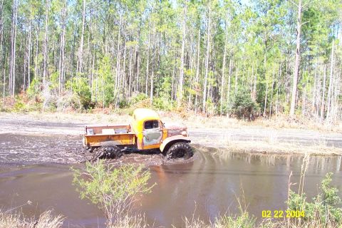 1985 Ford Bronco photo