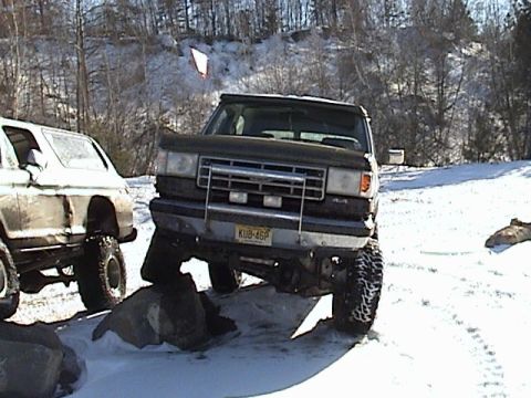 1979 Ford Bronco - Reptillikus
