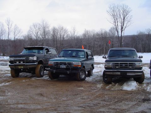 1979 Ford Bronco - Reptillikus, jackhart, gators