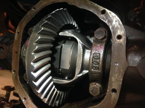 1979 Ford Bronco - Differential gears and housing, part number 366 visible.
