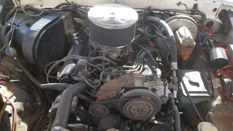 1978 Ford Bronco - Close-up view of a vehicle's engine bay, a prominent chrome air cleaner and various hoses and belts.