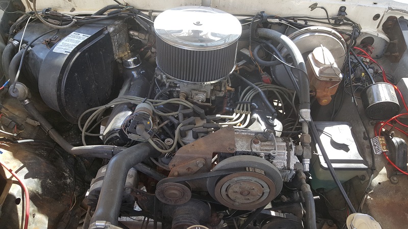 Engine bay with chrome air cleaner and visible hoses and belts