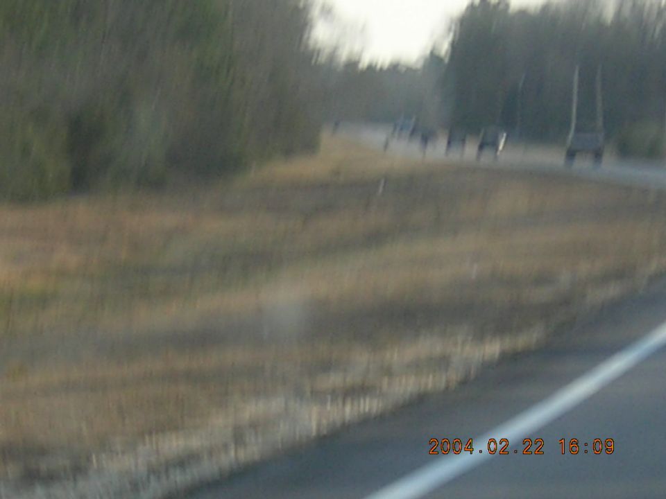 Several vehicles on a road, some appear to be SUVs or trucks