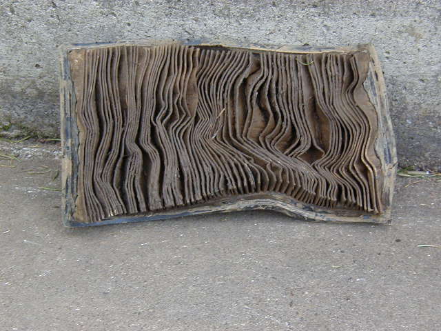 My toasted air filter