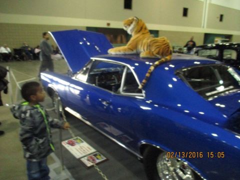 2004 Ford Crown Victoria - A child looks at a blue classic car with its hood open and a stuffed tiger on the roof at a car show.