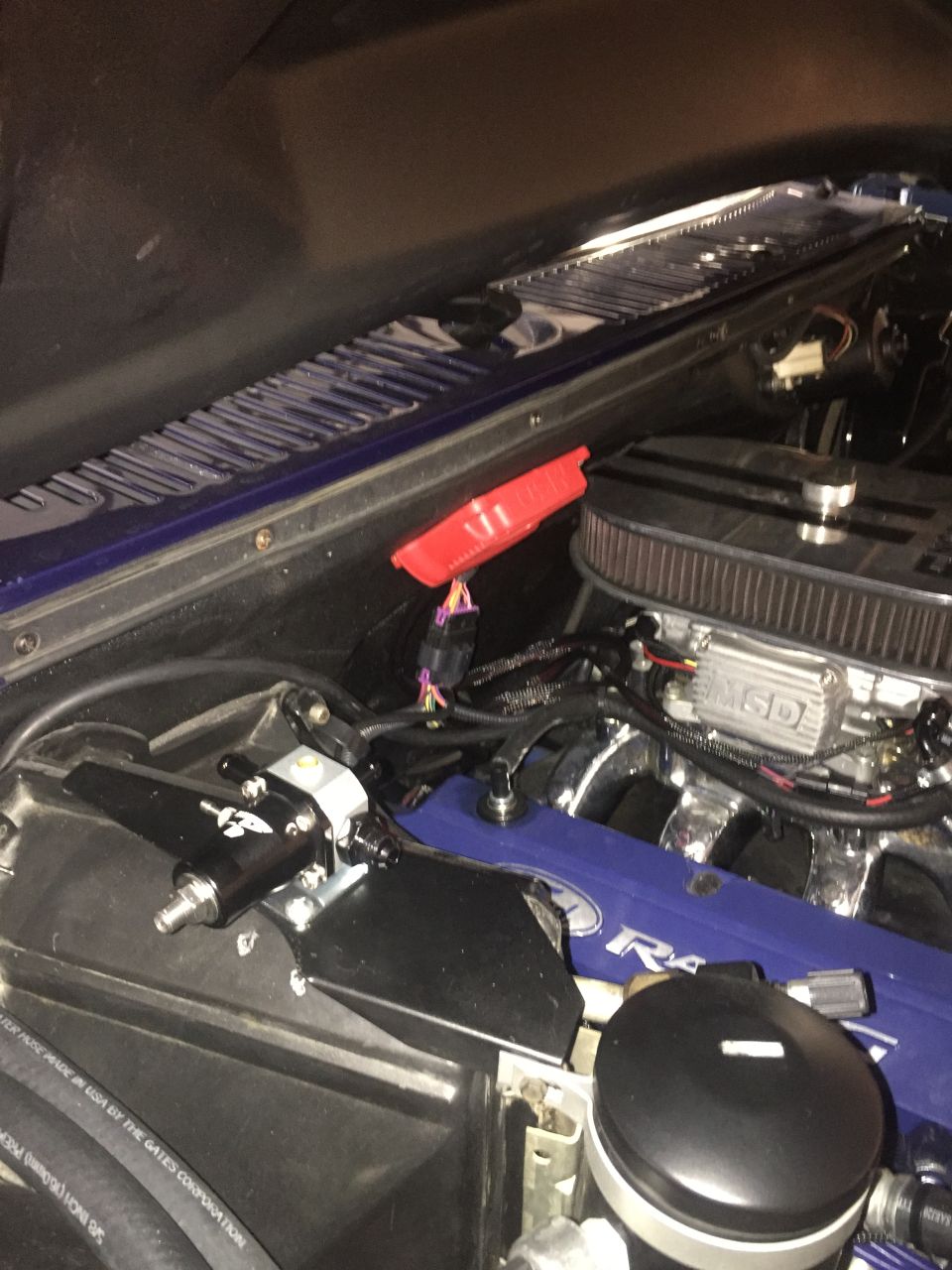 Engine bay with blue valve covers and chrome air cleaner. Red clip on wiring