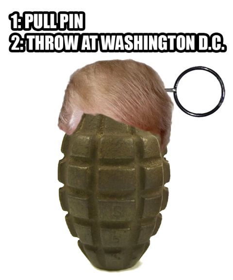 1995 Mercury Grand Marquis - A grenade with a blonde wig resembling Donald Trump's hair is shown with text overlay "1: PULL PIN 2: THROW AT WASHINGTON D.C."