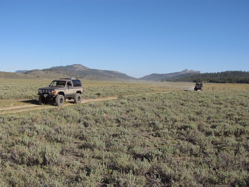 Monanche Meadow (Tulare Co., Ca)