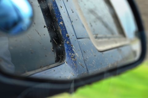 1996 Ford Bronco - Mud splatters cover the side mirror and body panel of a blue vehicle.