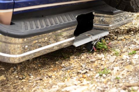 1996 Ford Bronco - The rear bumper and step of a blue SUV are shown, with vegetation growing around the exhaust pipe.