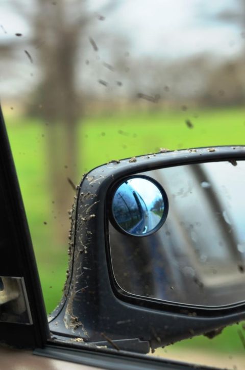 1996 Ford Bronco - Mud splatters on the side mirror indicate off-road driving.