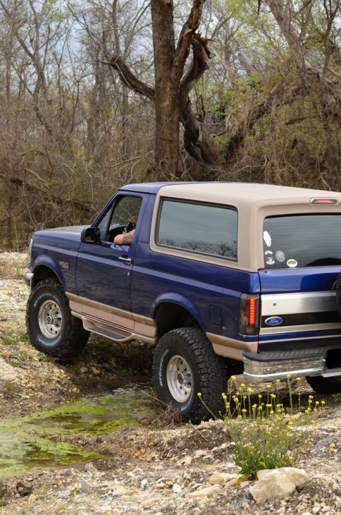 1996 Ford Bronco - A blue 1996 Ford Bronco with a tan roof navigates an off-road trail surrounded by trees and brush.