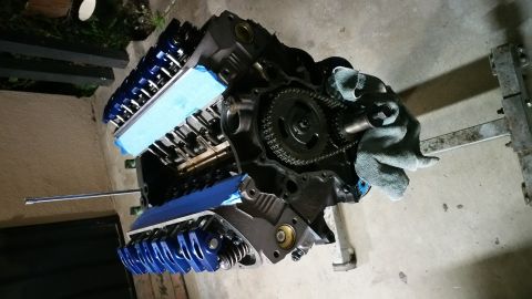 1995 Ford Mustang - A disassembled engine block with blue valve covers and a timing chain is shown in an overhead view. The engine is resting on a stand on a c…