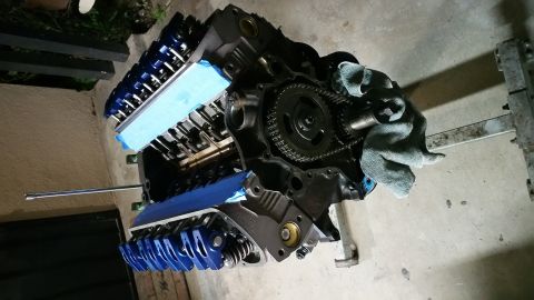 1995 Ford Mustang - A black V8 engine block is shown with blue valve covers and a timing chain. Blue painter's tape is covering the valve cover gaskets.