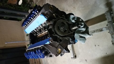 1995 Ford Mustang - A disassembled V8 engine block, likely from a Ford Mustang, is shown with its timing chain and gears exposed. The valve covers are painted…