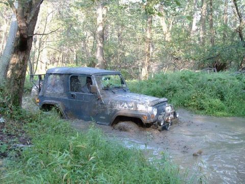 1978 Ford Bronco - A dark-colored Jeep Wrangler is stuck in a muddy stream surrounded by trees and vegetation.