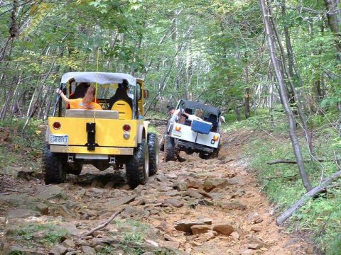 1978 Ford Bronco - Two off-road vehicles navigate a challenging, rocky path through a dense forest.