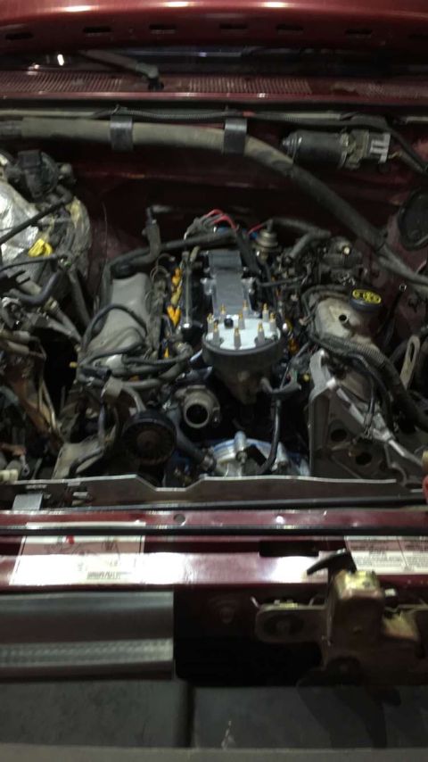 1996 Ford Bronco - Engine bay of a 1996 Ford Bronco, showing an Edelbrock intake manifold.