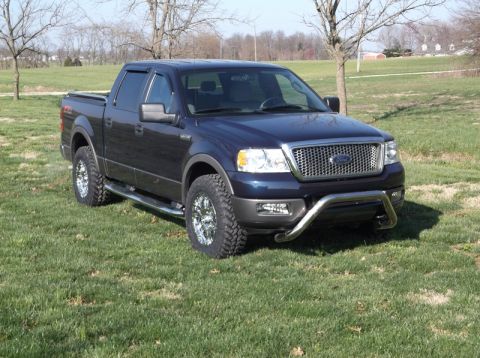 2005 Ford F-150 - This dark blue Ford F-150 pickup truck features a chrome grille and bull bar, parked on a grassy area.