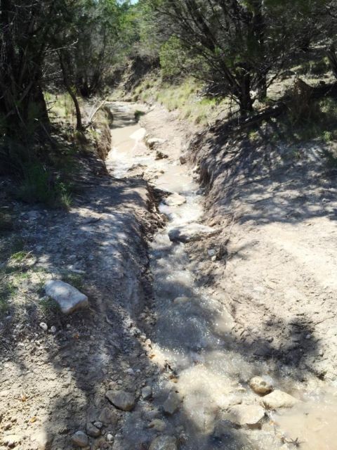 1996 Ford Bronco - A challenging off-road trail features a water-filled trench carved into the dirt, bordered by trees.