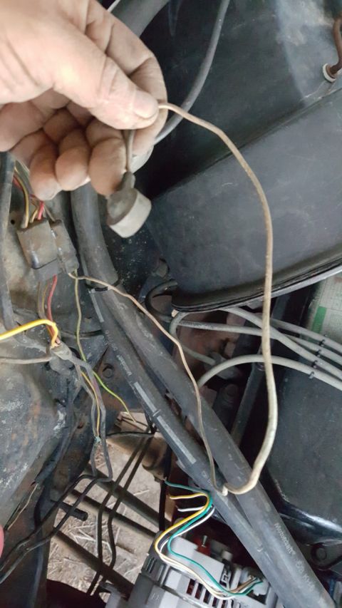 1978 Ford Bronco - Close-up of a hand holding a wiring harness in an engine bay.