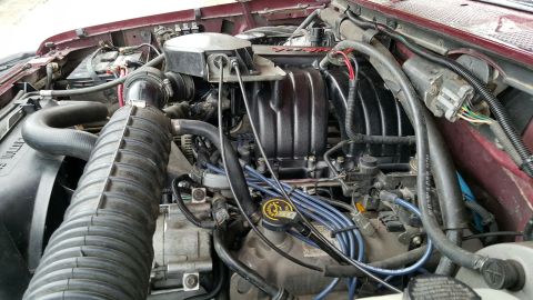 1996 Ford Bronco - Engine bay detail with V8 engine components visible, including intake and wiring.