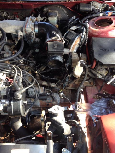 1995 Ford Probe - A close-up view of the engine bay of a 1995 Ford Probe, showing various engine components, wiring, and the fuse box.