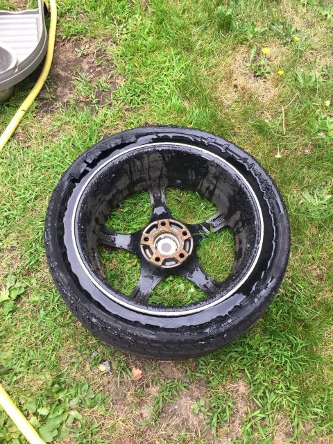 1995 Ford Probe - A black alloy wheel with a damaged tire is lying on the grass. A yellow hose is visible in the upper left corner.